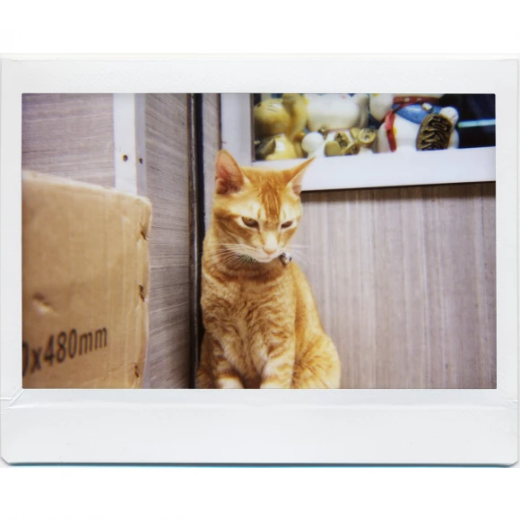 lomo instant wide black