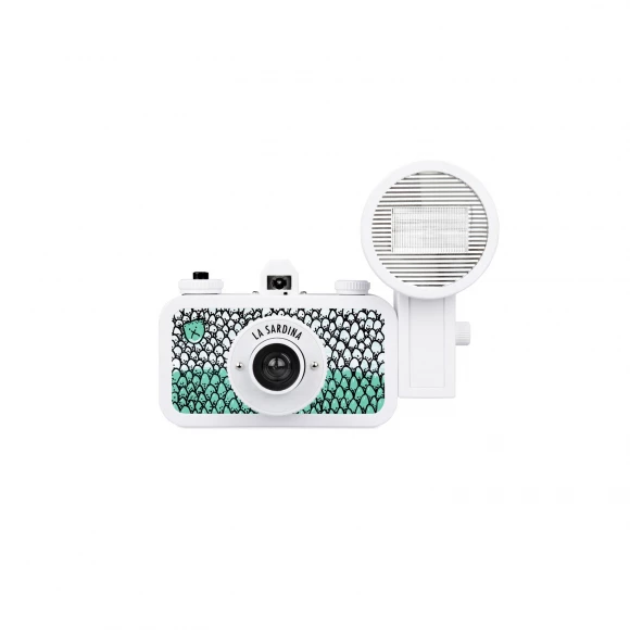 lomo la sardina and flash diy